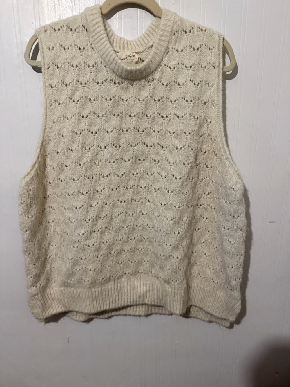 Crewneck Sleeveless Knit Vest - Ivory 1X